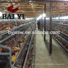 Welded Wire Mesh Cage With Poultry